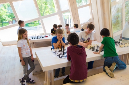 Шахматы для дошкольников